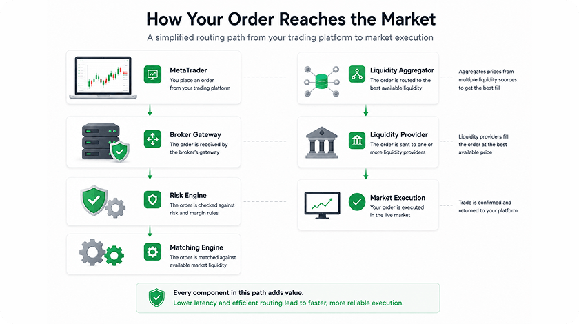 How Your Order Reaches the Market